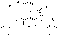 Rhodamine B isothiocyanate(36877-69-7)